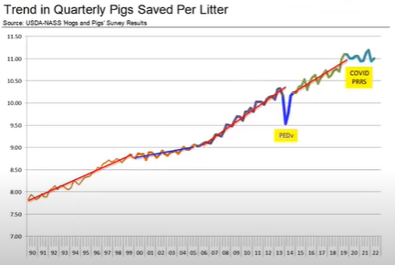 Trend in Quarterly Pigs Saved Per Litter